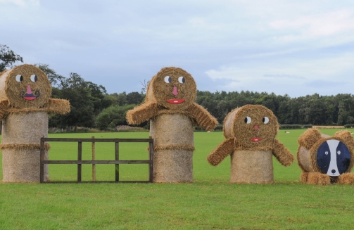 CheshireVenue Finder'